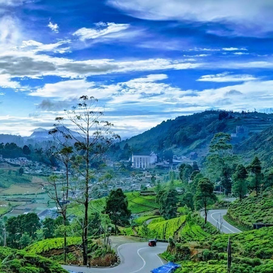 Villa Luxe Wilderness Nuwara Eliya Exterior foto